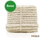 sisal 001