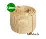 SISAL 01